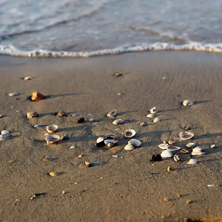 Beachside Flat With Balcony بيبيوني