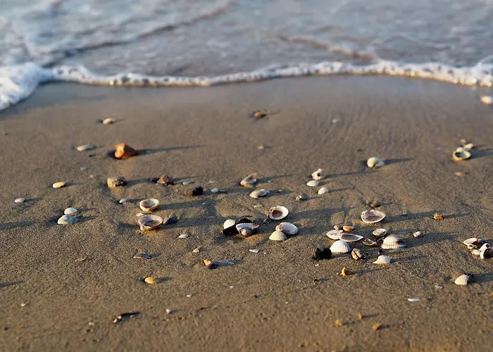 Beachside Flat With Balcony Bibione